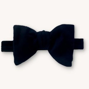 Portia fluga i vacker mörkblå sammet.